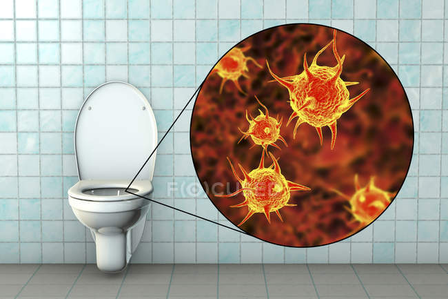 Microbes de toilette sur la surface du siège contaminé, illustration numérique conceptuelle
. — Photo de stock