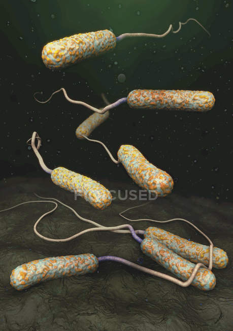 Illustration 3D des agents pathogènes du choléra dans les eaux sombres polluées . — Photo de stock
