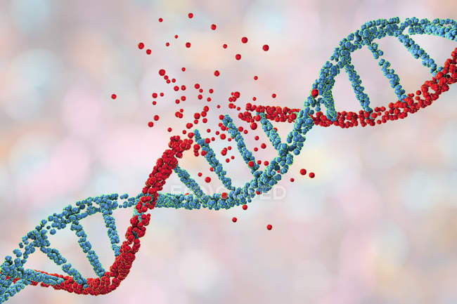 Daño a la molécula de ADN rojo de color, trastorno genético ilustración conceptual . - foto de stock