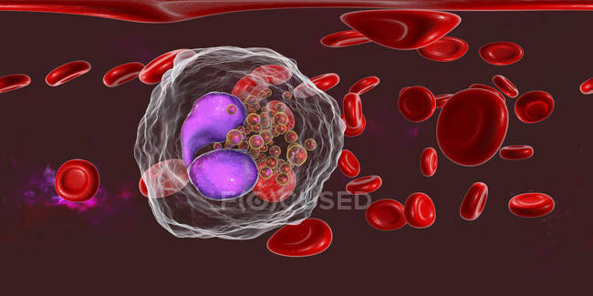 Illustration panoramique d'un vaisseau sanguin avec éosinophilie avec de nombreux éosinophiles globules blancs, système immunitaire anti-parasitaire
. — Photo de stock