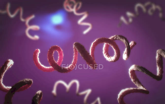 Цифровая 3D иллюстрация патогенов сифилиса . — стоковое фото