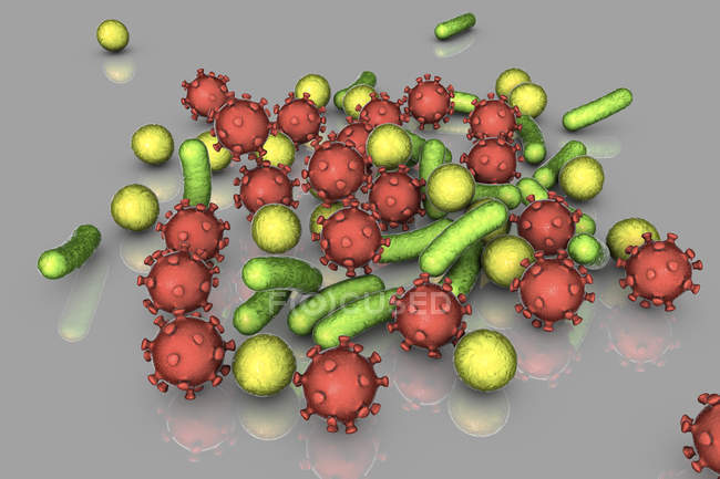 Bacterias y virus de diferentes formas, ilustración digital
. - foto de stock