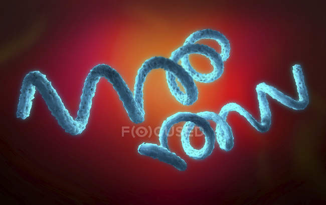 Illustration numérique 3D des agents pathogènes de la syphilis . — Photo de stock