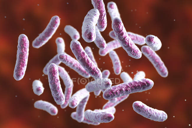 Illustrazione digitale della colonia batterica a forma di asta . — Foto stock
