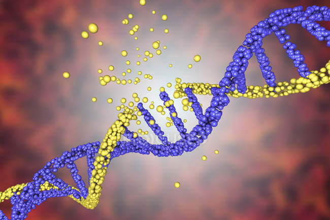 Повреждение цветной желтой молекулы ДНК, концептуальная иллюстрация генетического расстройства . — стоковое фото