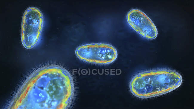 3d ilustración de protozoos transparentes y coloridos
. - foto de stock