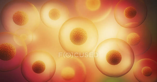 Ilustración 3d de células transparentes con núcleos sobre fondo amarillo
. - foto de stock
