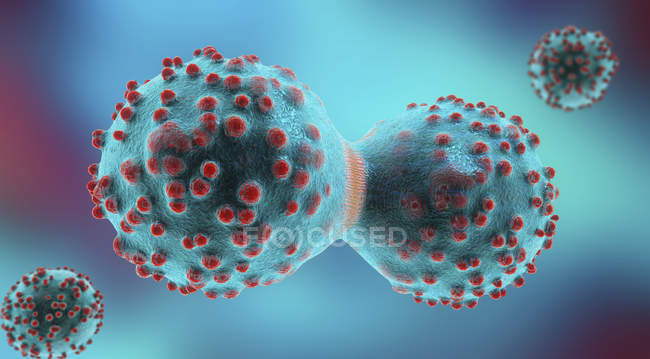 3D-Illustration der Krebszelle im Prozess der Teilung. — Stockfoto