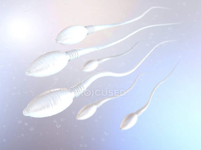 3D-Darstellung menschlicher Spermien im Fortpflanzungsprozess. — Stockfoto