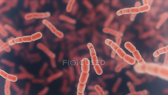 Streptococcus pneumoniae Bakterien, digitale Illustration. — Stockfoto