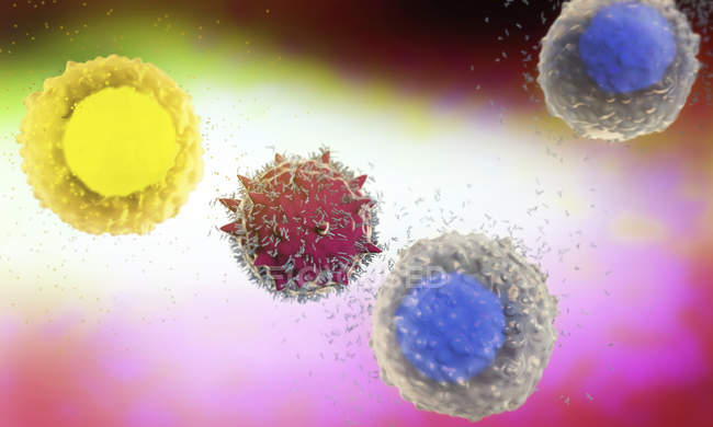 3d illustration of white blood cells leukocytes secreting antibodies to destroy allergen in human body. — Stock Photo