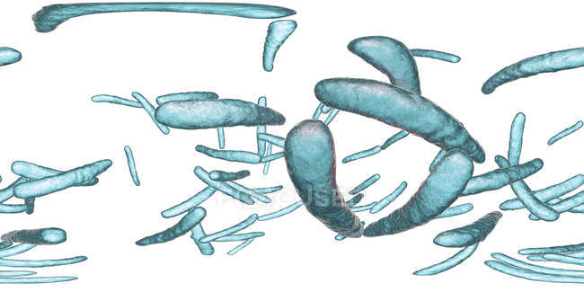Ilustração digital de Mycobacterium tuberculosis bactérias Gram-positivas em forma de bastonete que causam a doença tuberculose
. — Fotografia de Stock