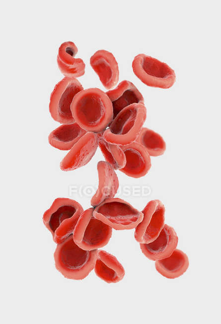 Ilustração 3d dos eritrócitos dos glóbulos vermelhos . — Fotografia de Stock