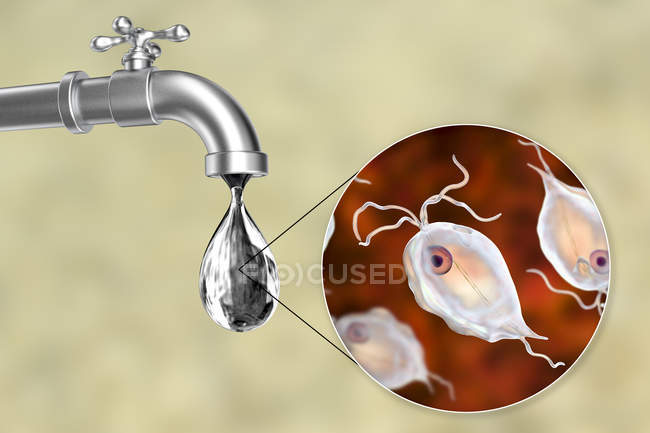 Концептуальна Цифрова ілюстрація, що показує П'ятиматомонади гоініс паразити в краплі води з брудної крана. — стокове фото
