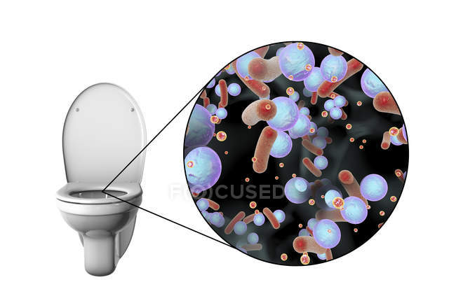 Microbes de toilettes à chasse d'eau sur surface contaminée, illustration numérique conceptuelle sur fond blanc
. — Photo de stock