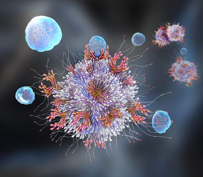 Иммунная система Т-лимфоцитов клетки связывания антиген, цифровая иллюстрация . — стоковое фото