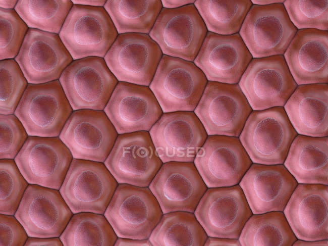 3D-Darstellung des roten Zellenmusters, Vollbild. — Stockfoto