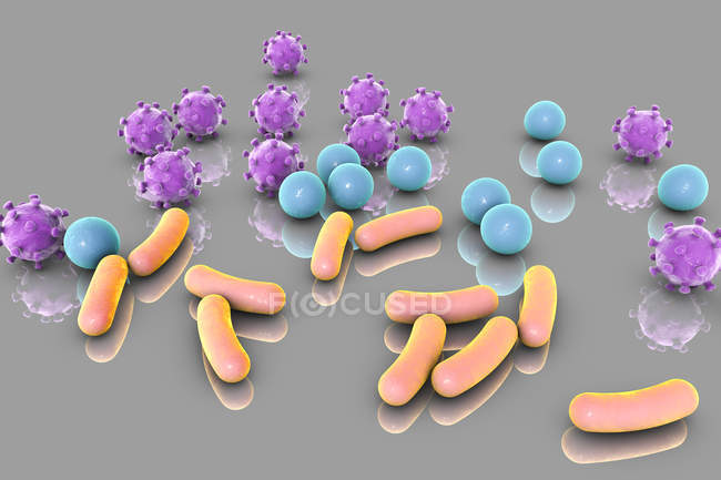 Бактерії і віруси різної форми, цифрова ілюстрація. — стокове фото