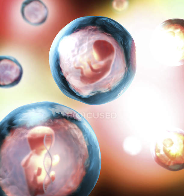 Ilustración conceptual en 3D de fetos no nacidos genéticamente modificados atrapados en burbujas transparentes con hebra de ADN . - foto de stock
