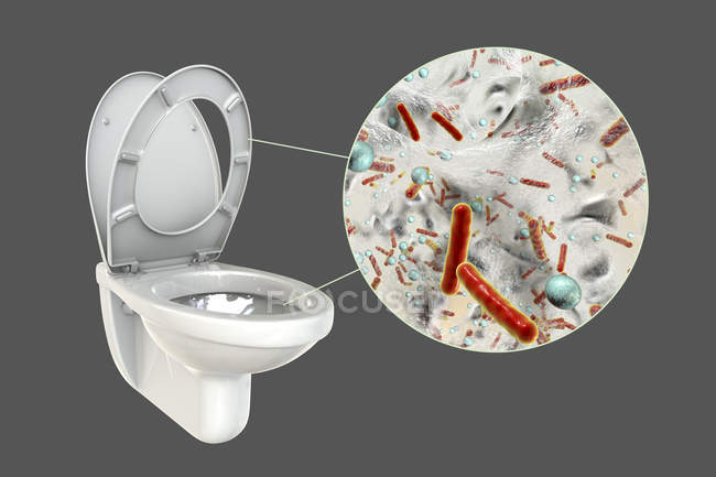 Flush toilet microbes on contaminated surface, conceptual digital illustration on grey background. — Stock Photo