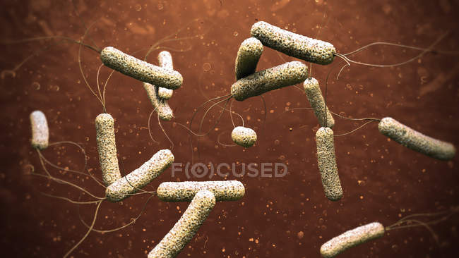 Illustrazione 3d di agenti patogeni del colera in acqua arancione scuro . — Foto stock