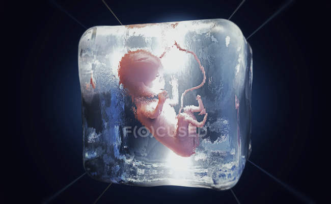 3d illustration of cryopreserved foetus frozen into ice cube. — Stock Photo