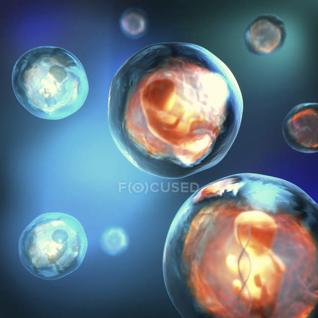 Ilustração 3d conceitual de fetos geneticamente modificados por nascer presos em bolha transparente com fita de DNA . — Fotografia de Stock