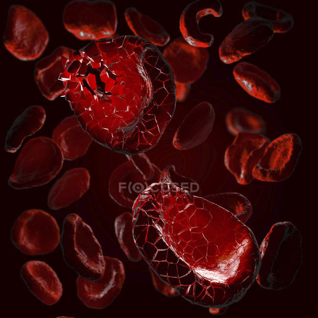 Ilustração 3d de células vermelhas do sangue desintegrando
. — Fotografia de Stock