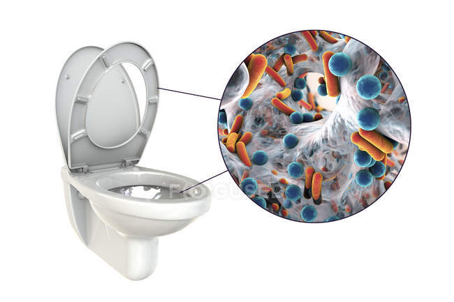 Microbes de toilettes à chasse d'eau sur surface contaminée, illustration numérique conceptuelle sur fond blanc
. — Photo de stock