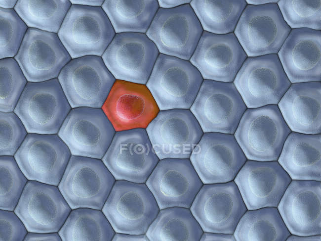 3D-Darstellung des Zellmusters mit roter Zelle. — Stockfoto
