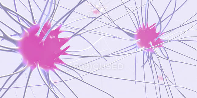 Ilustración abstracta en 3D de células nerviosas con conexiones en el sistema nervioso humano . - foto de stock