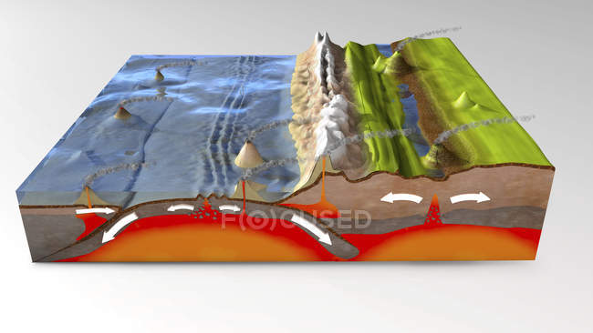 3d ілюстрація поперечного перерізу для пояснення субдукції та тектоніки пластин . — стокове фото