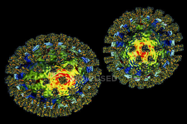 Вірусні клітини грипу у візуалізації цитометрії кольорів, цифрова ілюстрація. — стокове фото