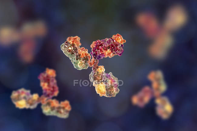 Modelo molecular digital da estrutura secundária dos anticorpos da imunoglobulina G . — Fotografia de Stock