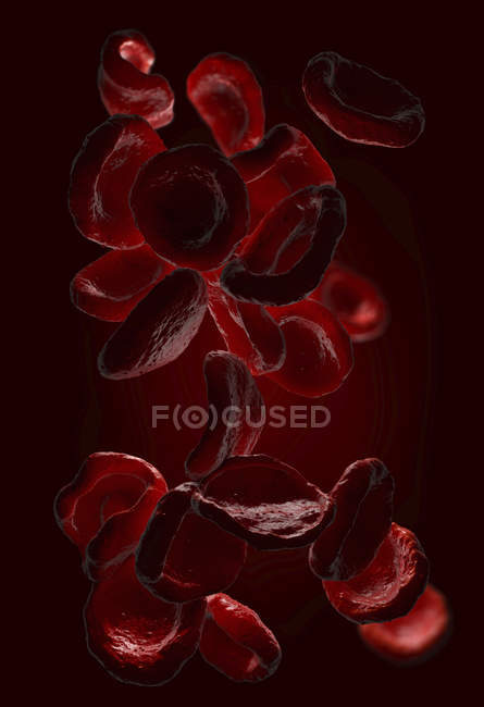 3D ілюстрація червоних кров'яних клітин еритроцити. — стокове фото