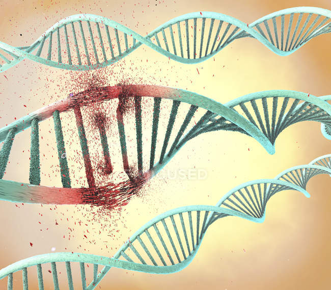 Абстрактная научная иллюстрация поврежденной цепочки ДНК
. — стоковое фото
