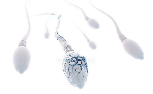 3D ілюстрація пошкоджених сперматозоїдів в людській спермі. — стокове фото