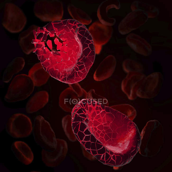 3D ілюстрація червоних кров'яних тілець. — стокове фото