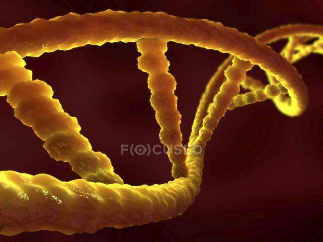 Molecola di DNA, illustrazione scientifica astratta . — Foto stock
