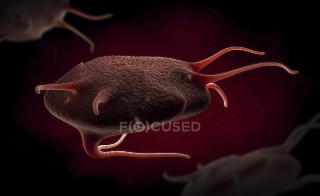 3d illustration of activated platelets and thrombocytes while healing and closure of wound. — Stock Photo