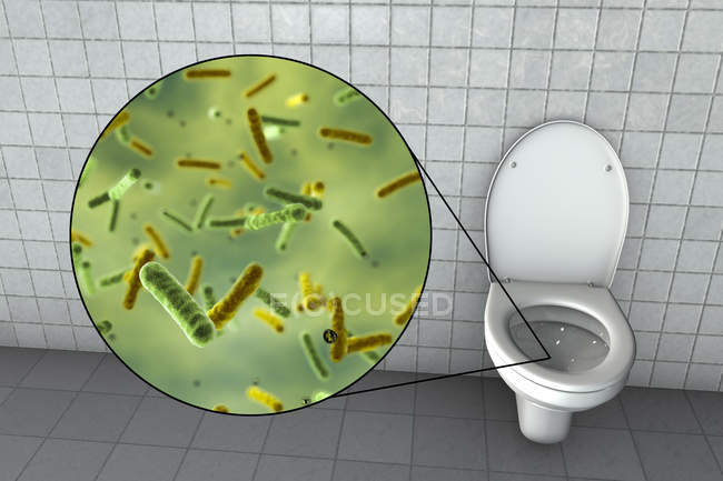 Microbios del asiento del inodoro, ilustración digital conceptual
. - foto de stock