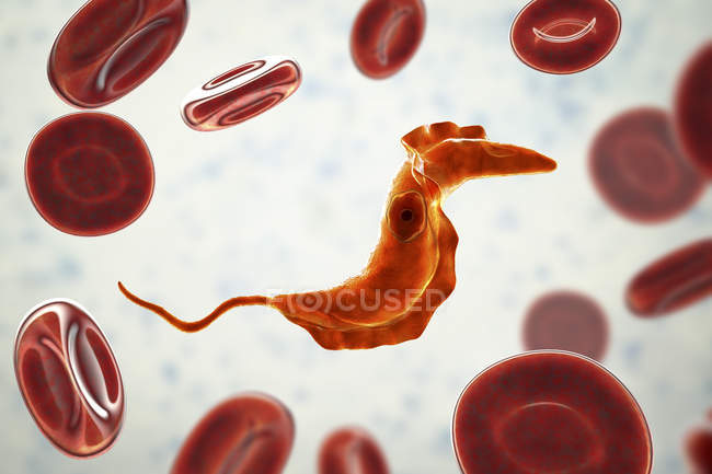 Digitale Illustration von Trypanosom-Parasiten im Blut, die die Chagas-Krankheit verursachen. — Stockfoto