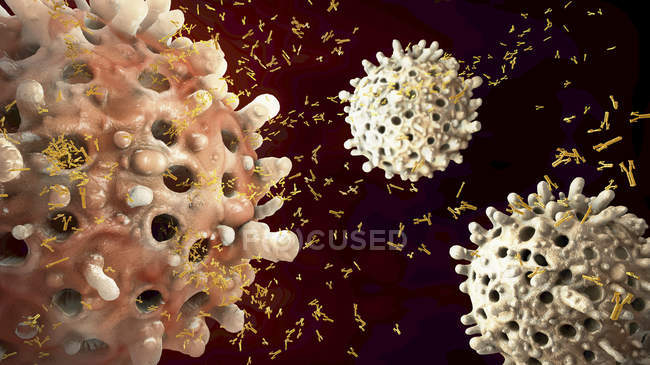 Ilustración 3d de células leucocitarias que secretan anticuerpos alérgenos mientras que la alergia . - foto de stock