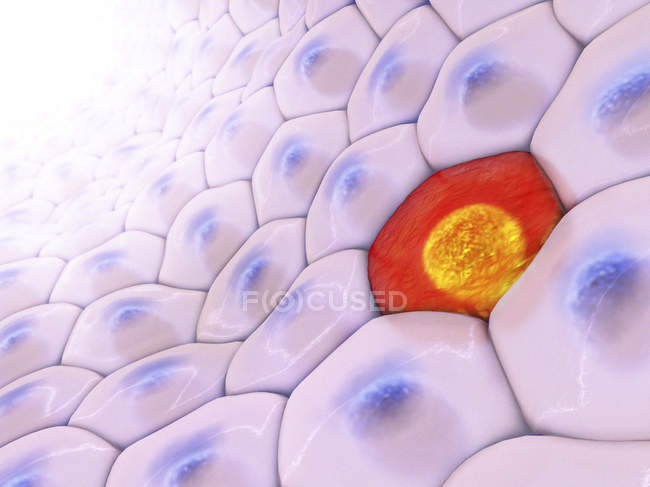 3d illustration of aligned cells with red cell in middle. — Stock Photo