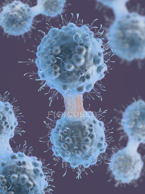 Цифрова 3D-кольорова ілюстрація ракових клітин в процесі мітозу . — стокове фото