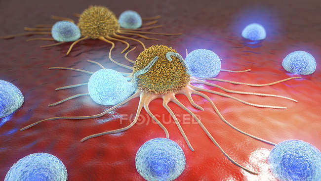 Ilustração 3d de linfócitos atacando células cancerosas no corpo humano . — Fotografia de Stock