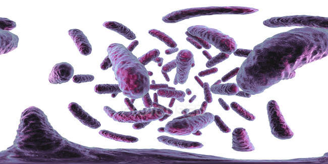 Bactéries Enterobacteriaceae, illustration numérique avec panorama à 360 degrés
. — Photo de stock