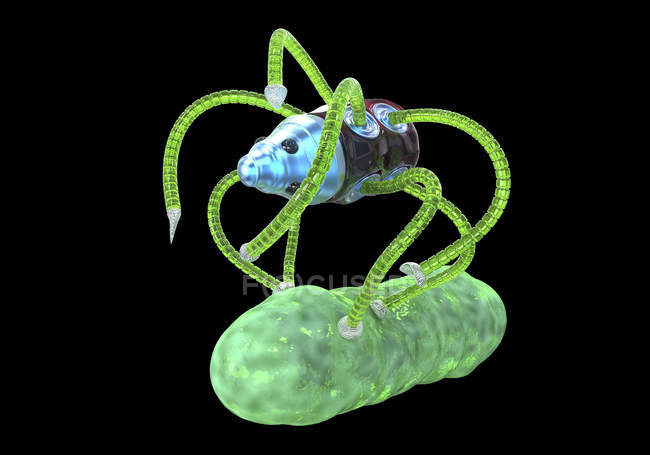 Digital illustration of nanorobot with rod-shaped bacterium. — Stock Photo