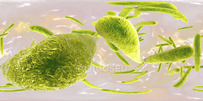 Digital illustration of Mycobacterium tuberculosis gram-positive rod-shaped bacteria which causing disease tuberculosis. — Stock Photo