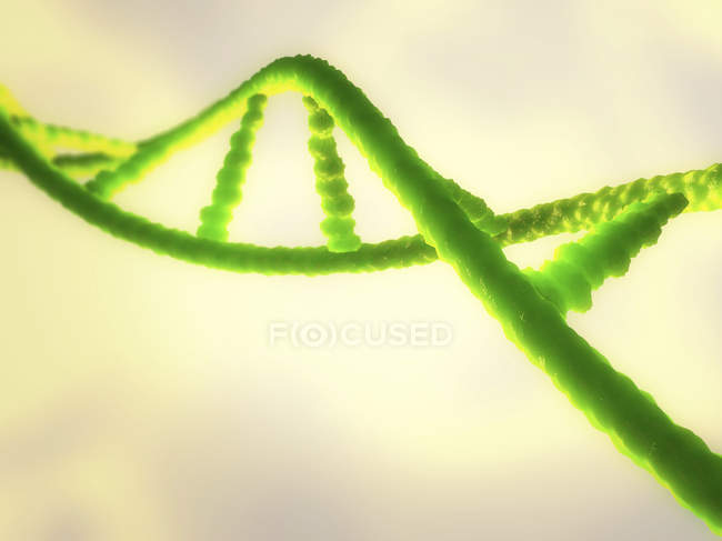 DNA molecule, abstract scientific illustration. — Stock Photo